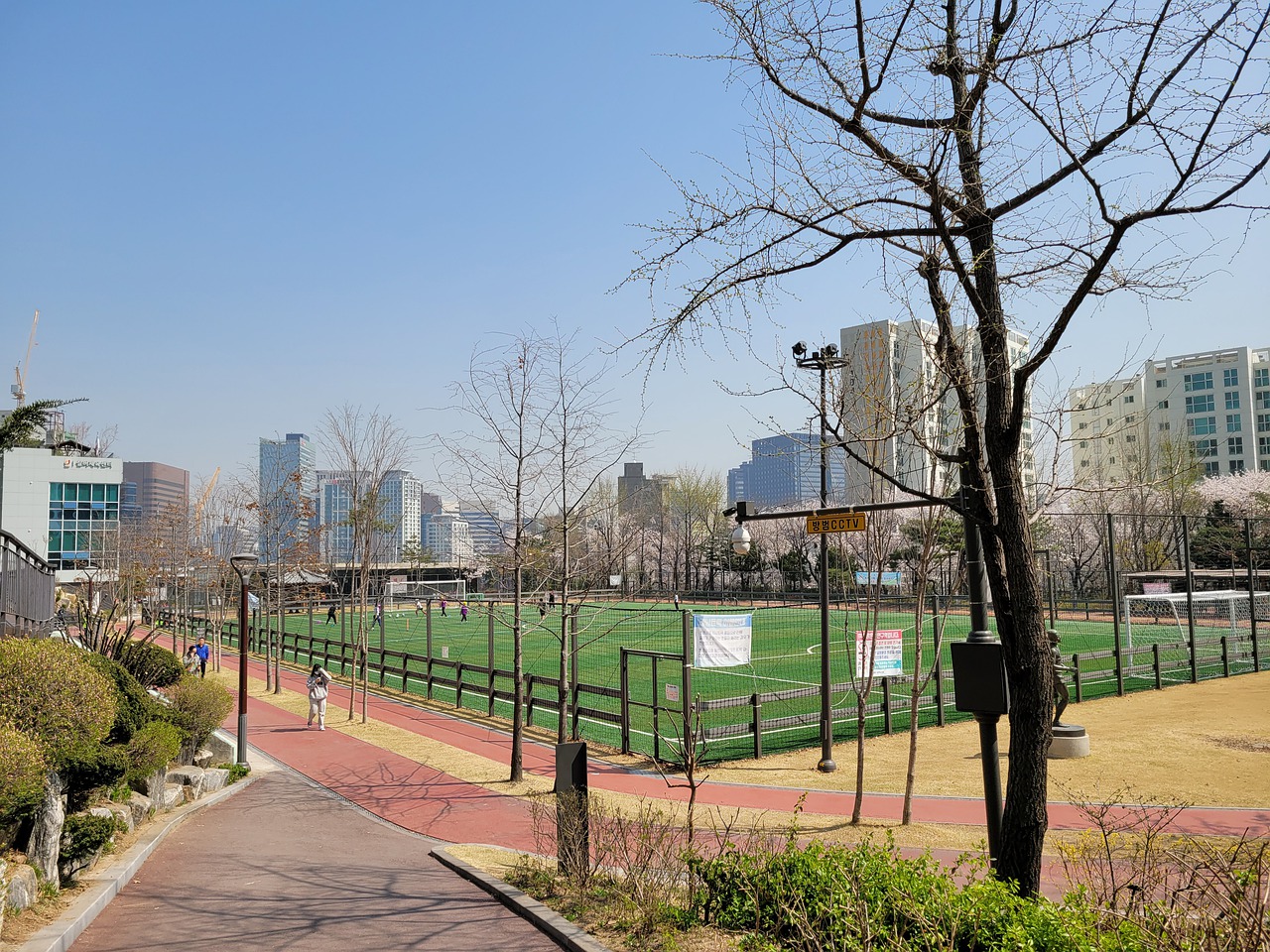 尼克斯在面